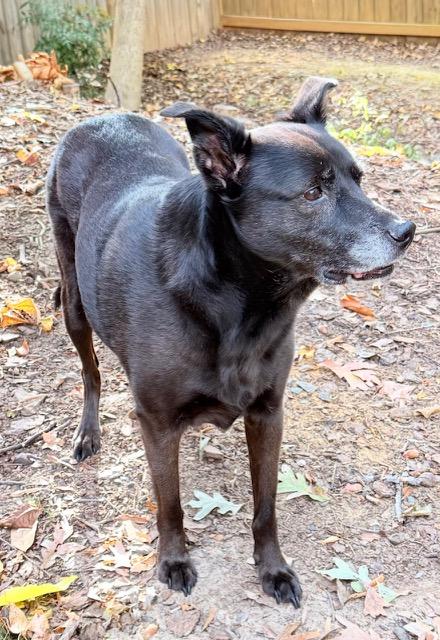 A furry friend cared for by Patty - gallery photo 4