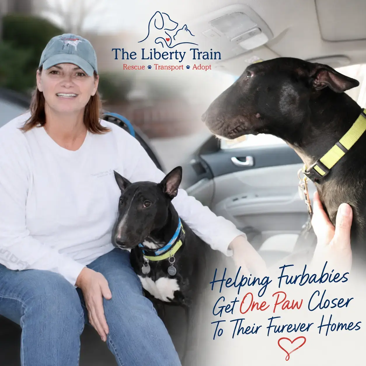 A furry friend cared for by Patty - gallery photo 2