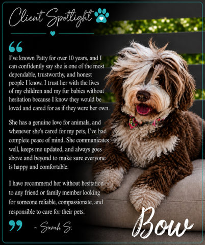 Client Spotlight testimonial featuring Bow