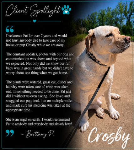 Client Spotlight testimonial featuring Crosby