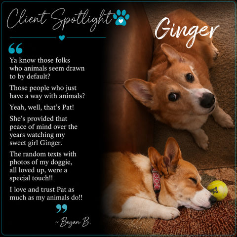 Client Spotlight testimonial featuring Ginger