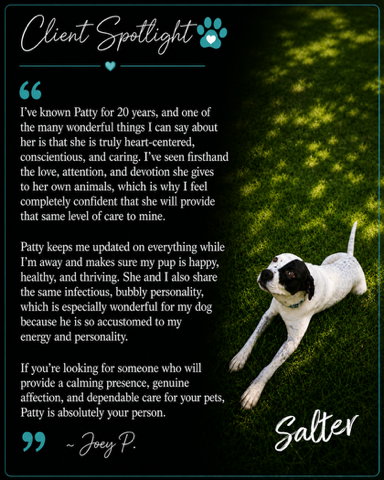 Client Spotlight testimonial featuring Salter