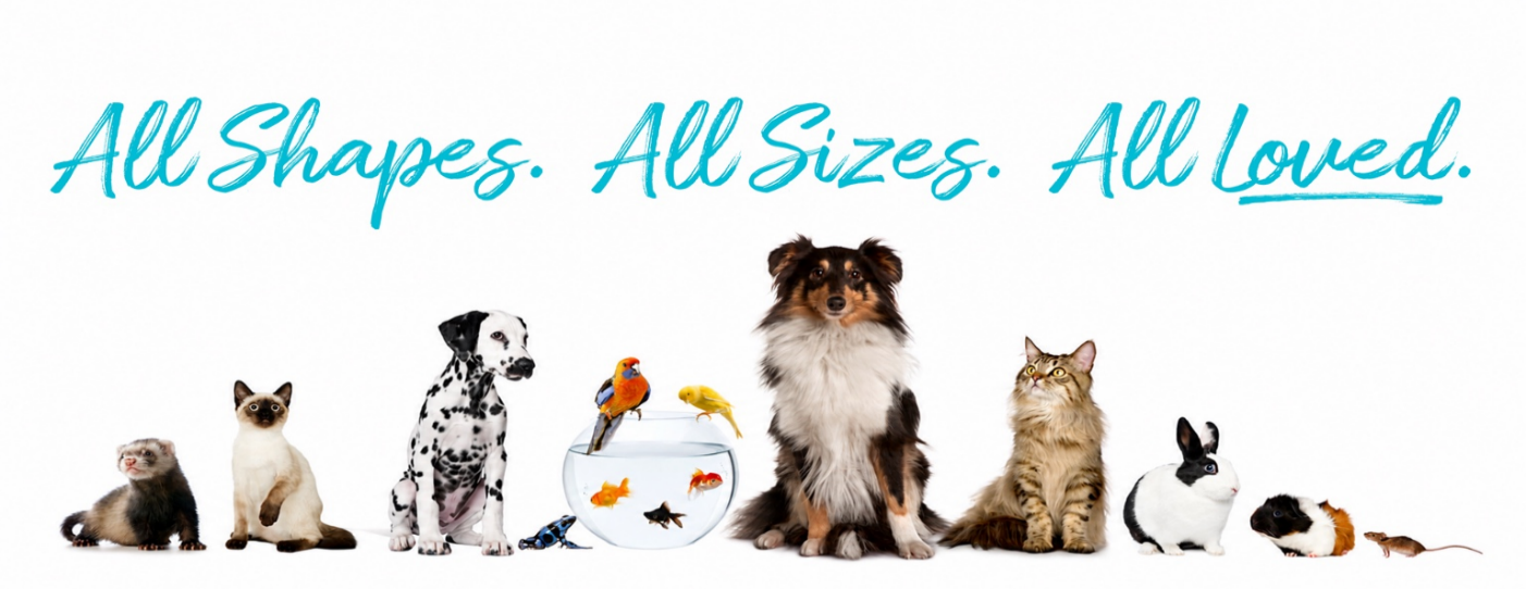 All Shapes. All Sizes. All Loved.