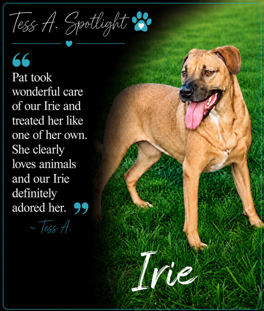 Client Spotlight testimonial featuring milo and winston