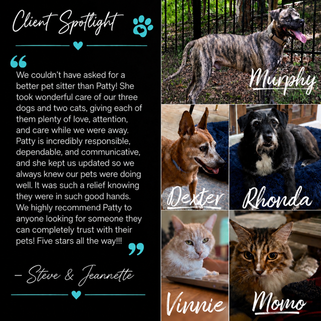 Client Spotlight testimonial featuring milo and winston