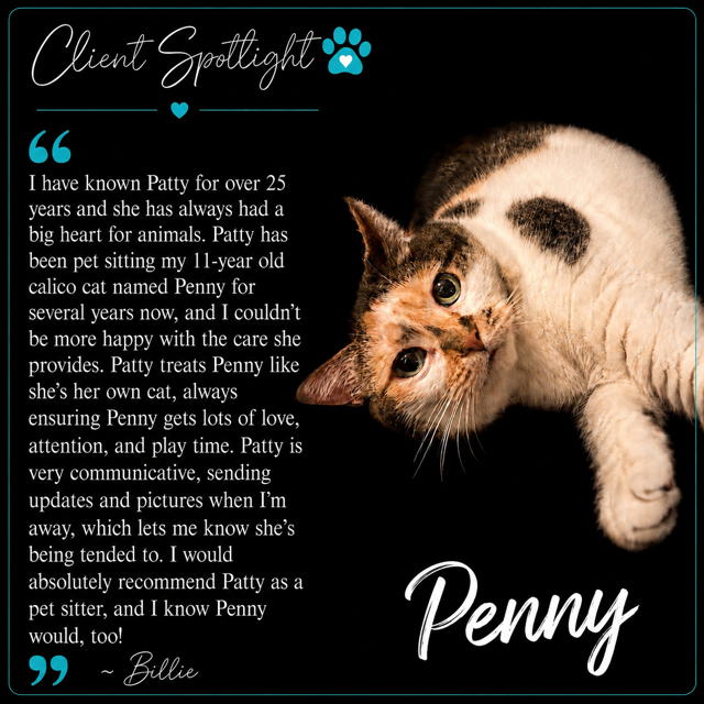 Client Spotlight testimonial featuring milo and winston